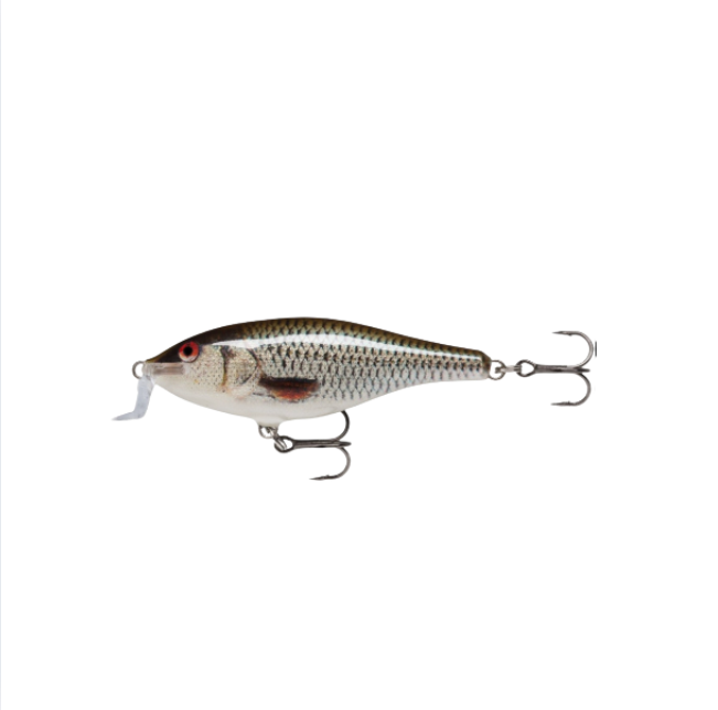 Wobler Rapala Shallow Shad Rap SSR07 ROL