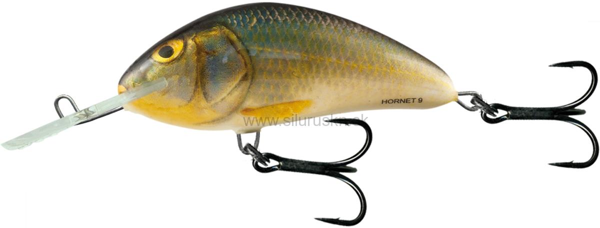 Wobler Salmo Hornet H9F RR
