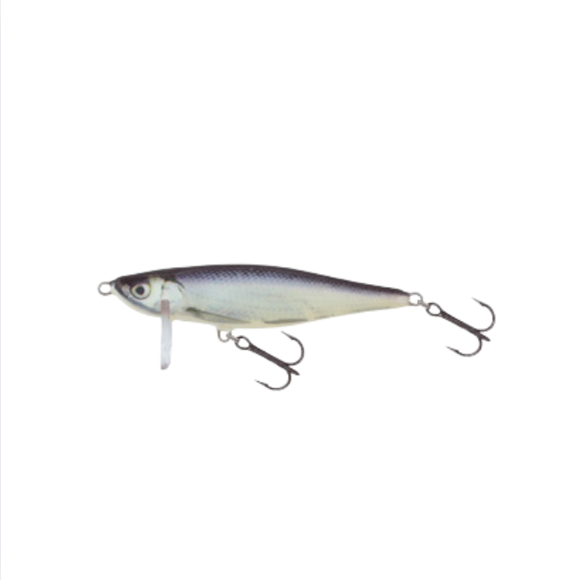 Wobler Salmo Thrill TH7 RB