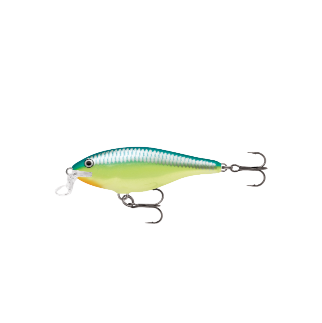 Wobler Rapala Shallow Shad Rap SSR05 CRSD
