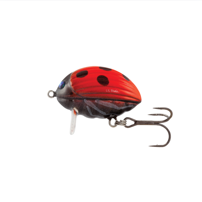 Wobler Salmo Lil´Bug BG3 LAB
