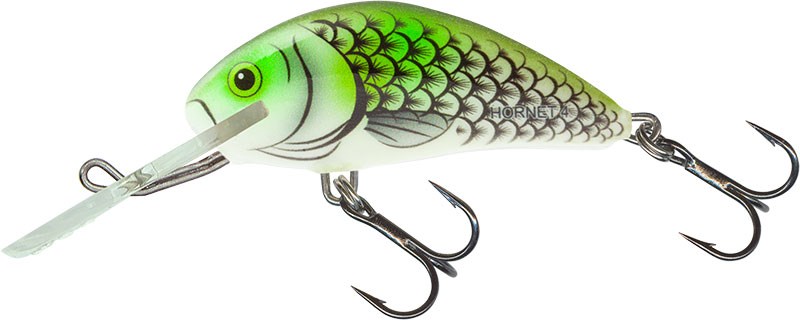 Wobler Salmo Hornet H6S OHS