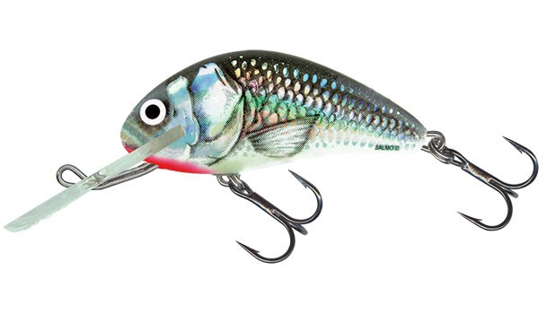 Wobler Salmo Hornet H6F HGS
