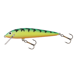 Wobler Salmo Minnow M9F GT