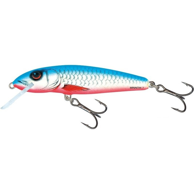 Wobler Salmo Minnow M9F DB