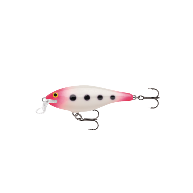 Wobler Rapala Shallow Shad Rap SSR07 GPSQ