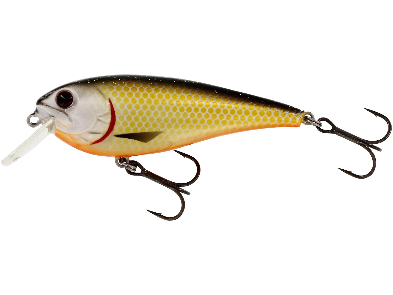 Wobler Westin Rawbite Crankbite 7cm 12g Floating Official Roach